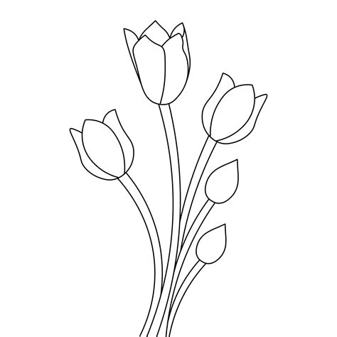 tulip outline|Tulips Outline Images